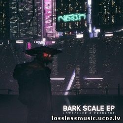 Lowroller – Divide. FLAC, 2019 - cover Lowroller – Divide. FLAC, 2019 - cover