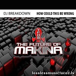 DJ Breakdown – How Could This Be Wrong. FLAC, 2019 - cover DJ Breakdown – How Could This Be Wrong. FLAC, 2019 - cover