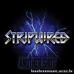 Stripwired - Mr Moneybags. FLAC, 2019 - cover Stripwired - Mr Moneybags. FLAC, 2019 - cover