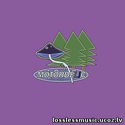 Motordelic - Liquidelic. FLAC, 2019 - cover Motordelic - Liquidelic. FLAC, 2019 - cover