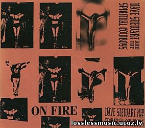 Dave Stewart And The Spiritual Cowboys - On Fire. APE, 1991 - cover Dave Stewart And The Spiritual Cowboys - On Fire. APE, 1991 - cover